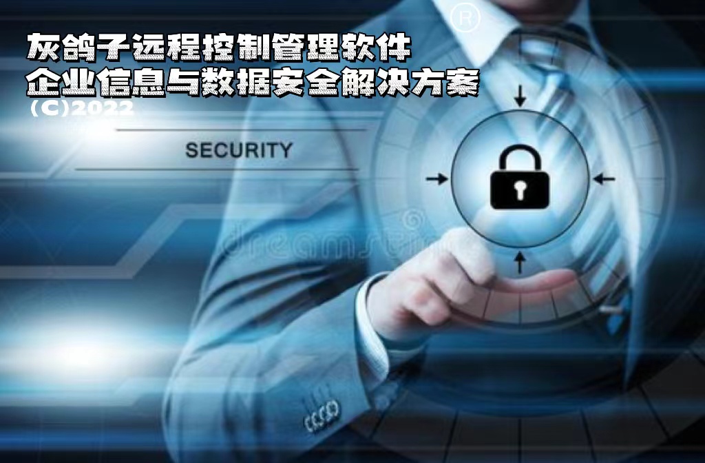 灰鴿子、向日葵、To desk、Team Viewer、Anydesk
