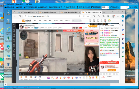 灰鴿子、向日葵、To desk、Team Viewer、Anydesk