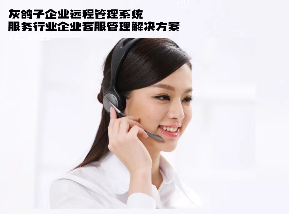 灰鴿子、向日葵、To desk、Team Viewer、Anydesk