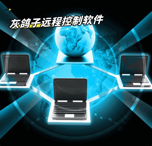 灰鴿子、向日葵、To desk、Team Viewer、Anydesk