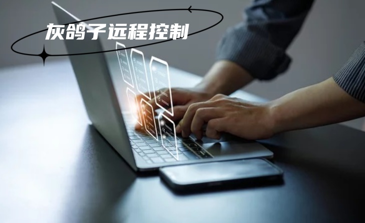 灰鴿子、向日葵、To desk、Team Viewer、Anydesk